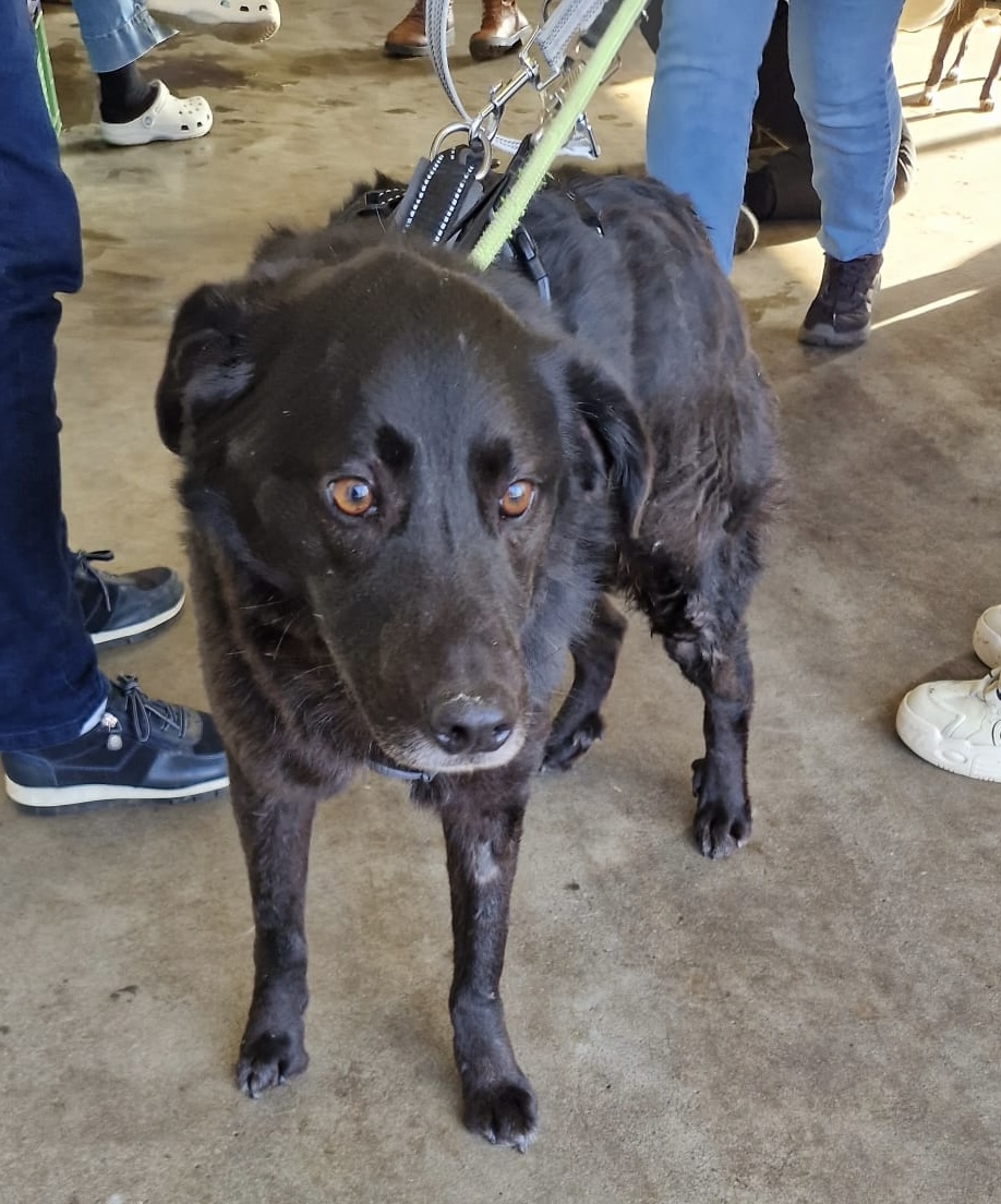 ed199cb5 2e9d 4f76 9a2e 97334bb27941