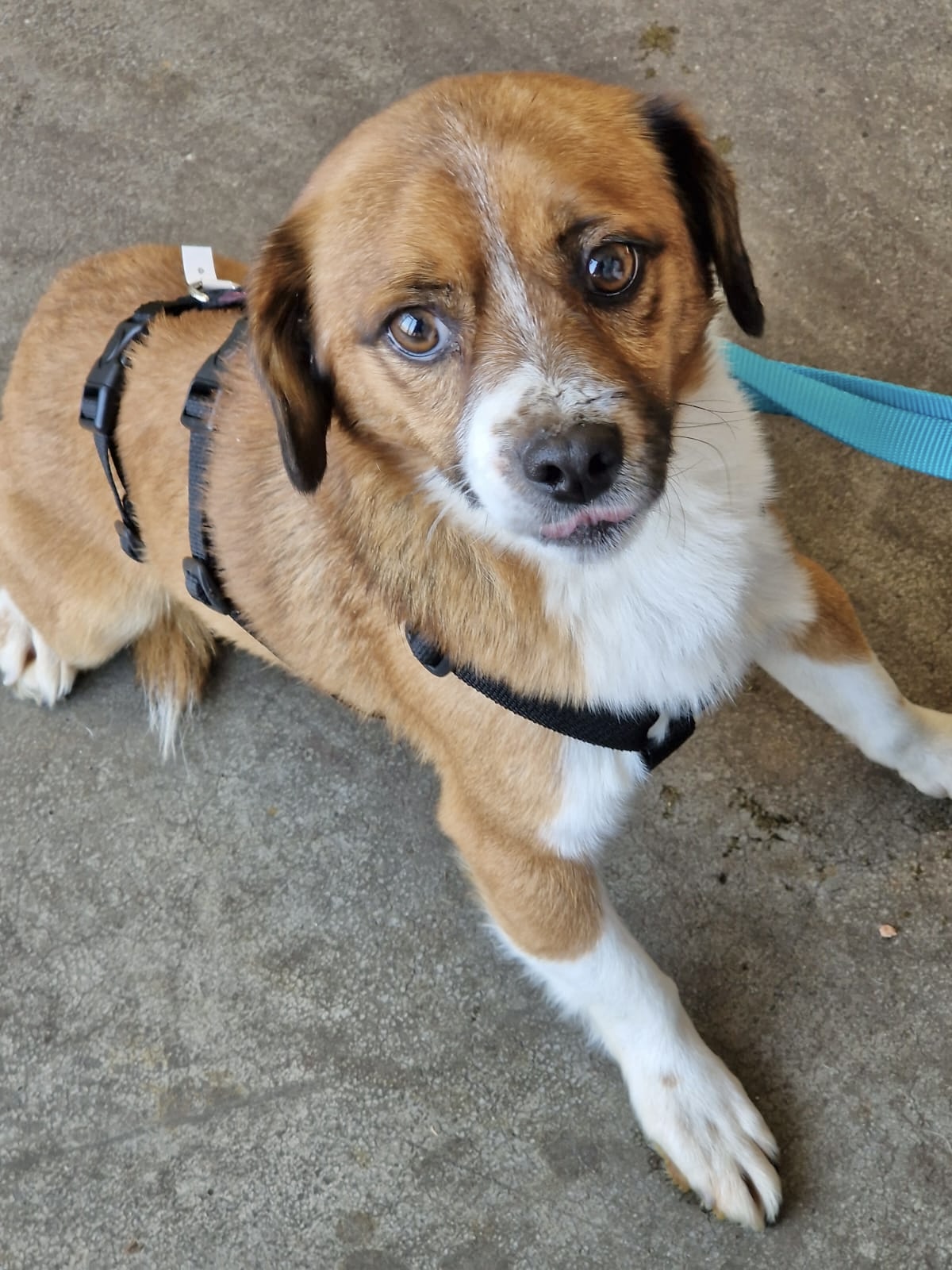 efbca452 9aee 47bb 8640 f357fdd9547b