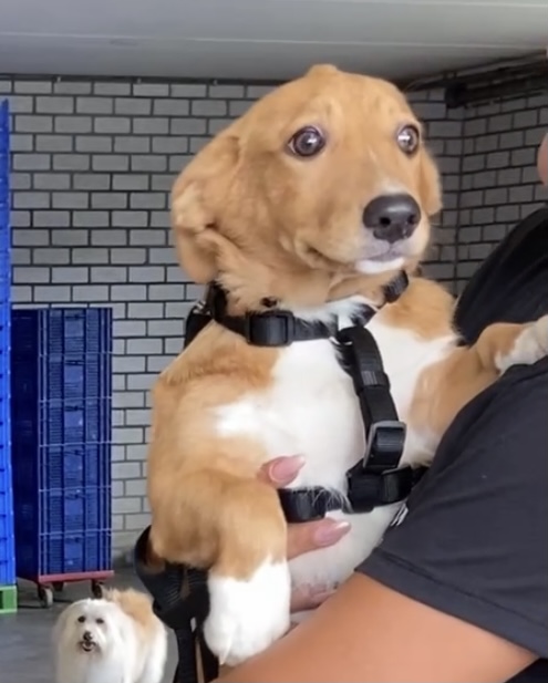Nacho1jpg