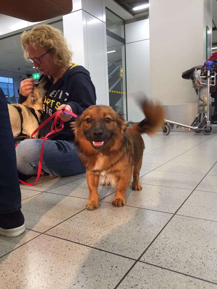 43166178 1595696090531886 4031299812044308480 n