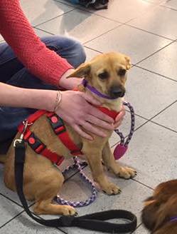 43248299 1595696857198476 1103212317627121664 n