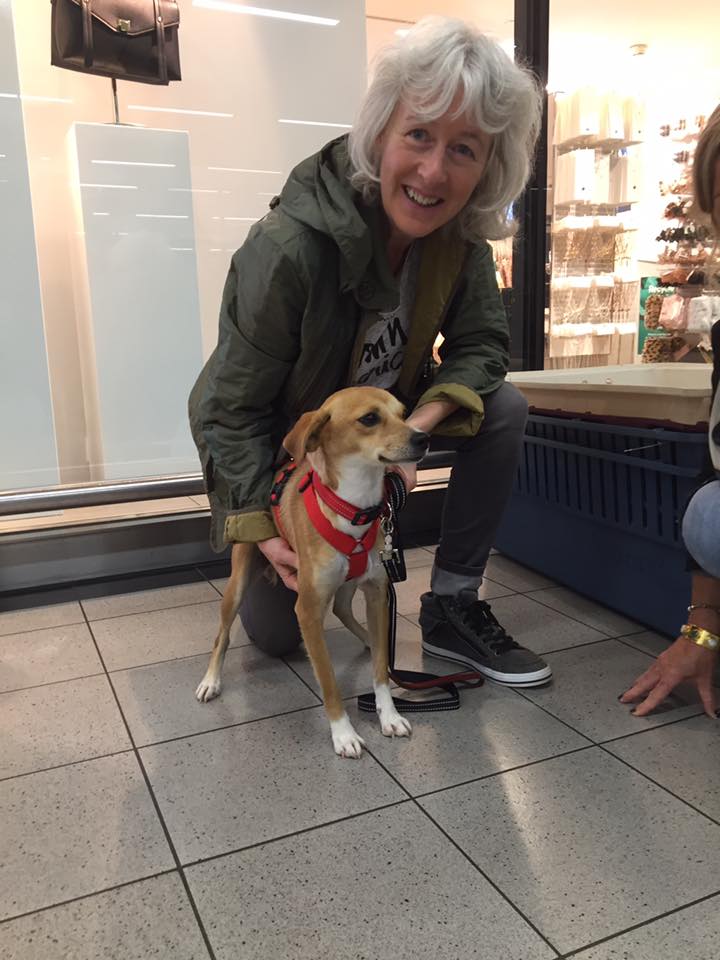 43255864 1595696473865181 4671135388075556864 n