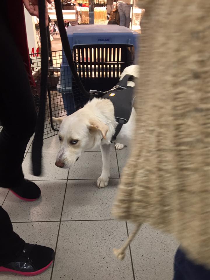 43257465 1595696747198487 1893430014544707584 n