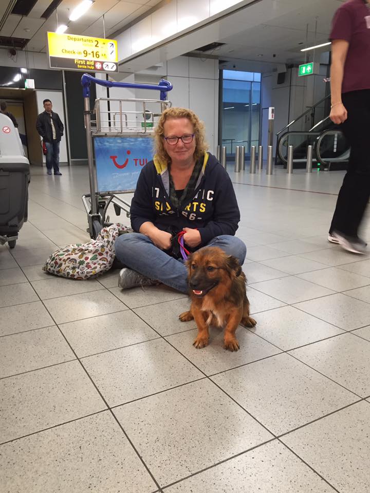 43277906 1595696693865159 1537172931291906048 n