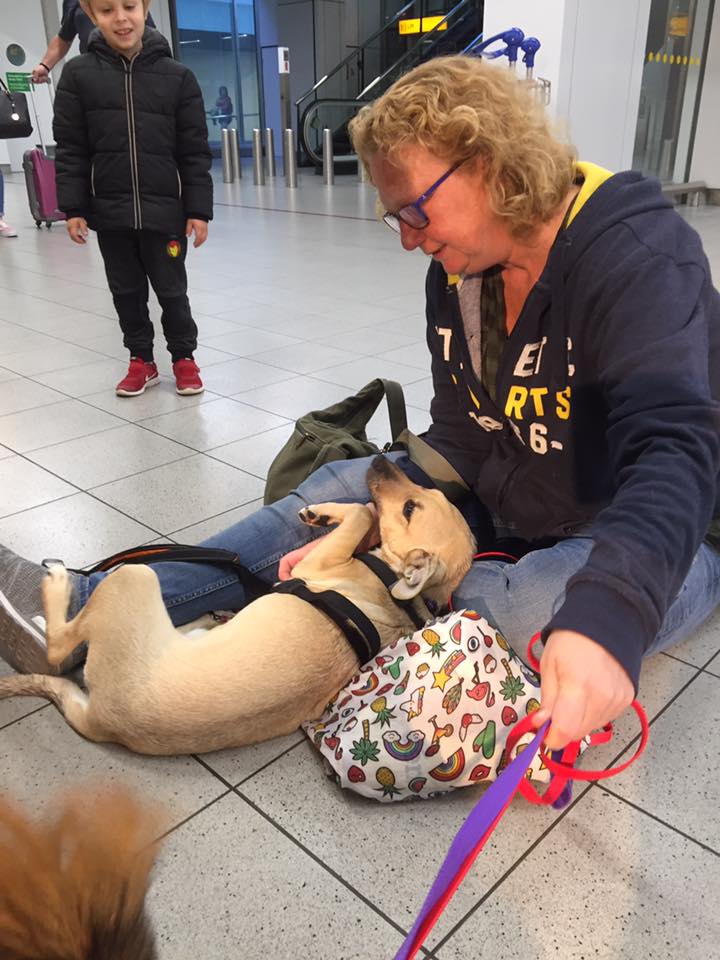 43284748 1595696070531888 5923519217042194432 n