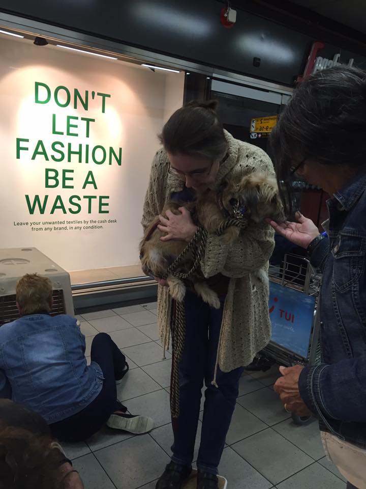 43339390 1595696960531799 1813098664227241984 n