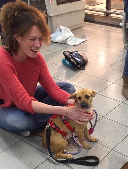 43343440 1595696860531809 2812356933451776000 n