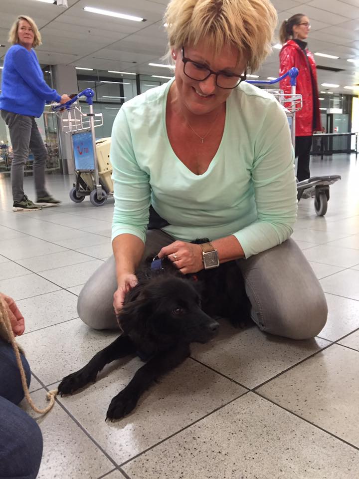 43350202 1595696197198542 4641276749663961088 n