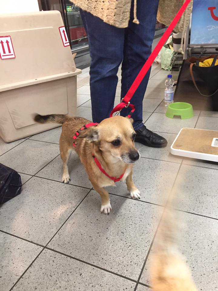 43371611 1595696447198517 8771234176700514304 n