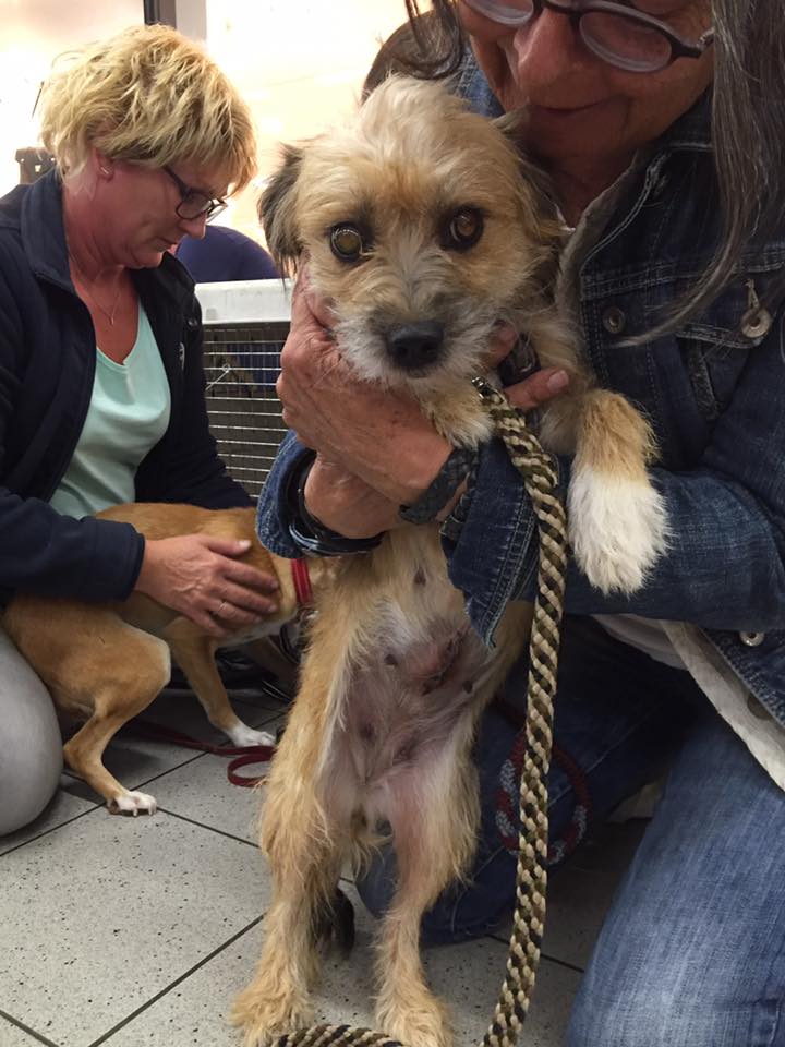 43375111 1595696720531823 492510827614568448 n