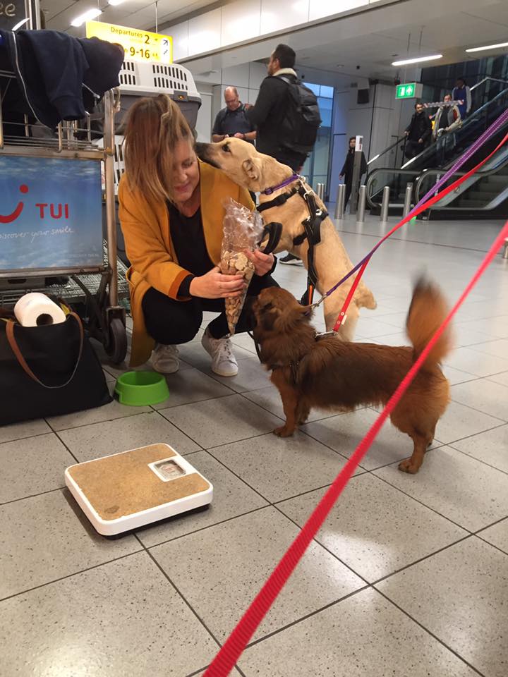 43450472 1595696180531877 7782159485388193792 n