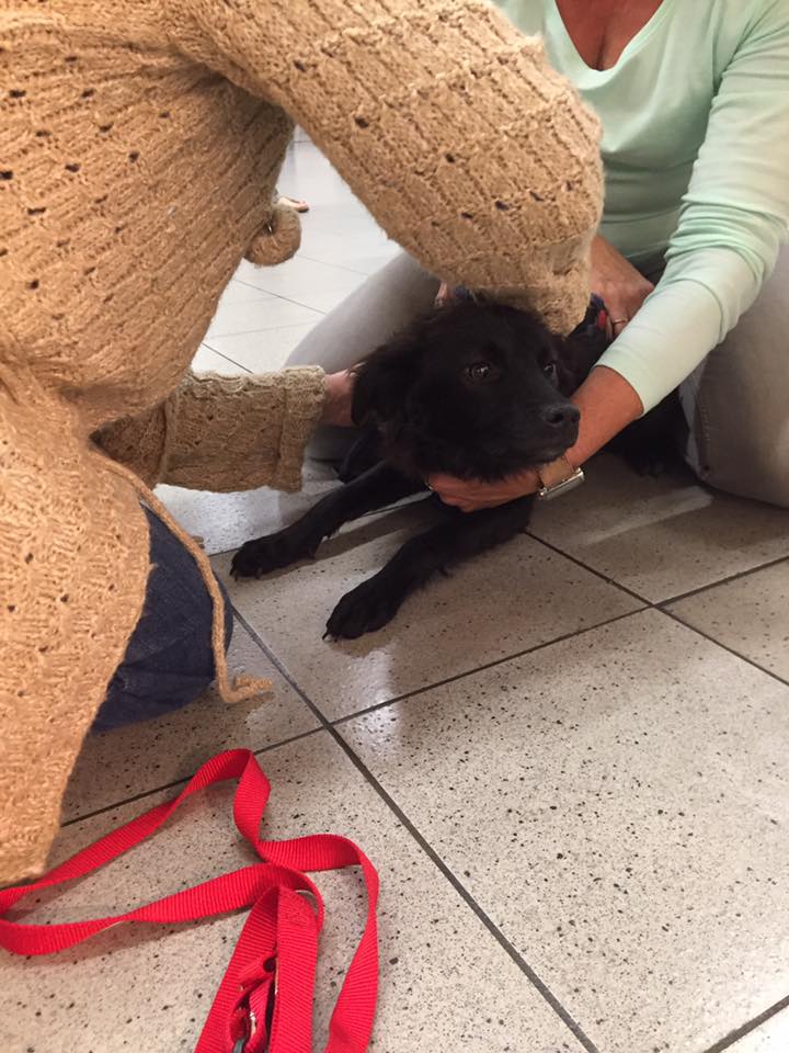 43462687 1595696210531874 70324845316931584 n