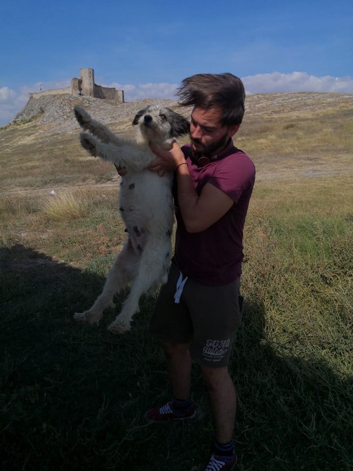 69856909 2897307280297284 8434629485109706752 n