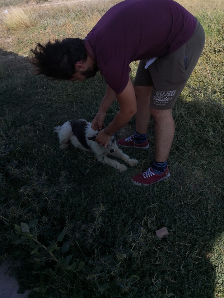 69856909 2897307280297284 8434629485109706752 n