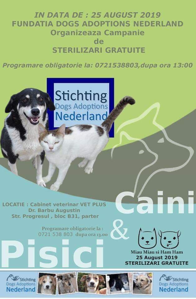 68487783 2846585132036166 3228329352202551296 n