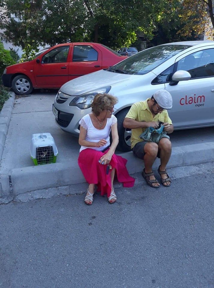 68788782 2866216280073051 1538996531456114688 n