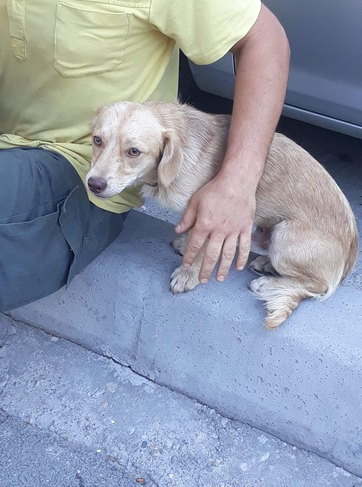 68788782 2866216280073051 1538996531456114688 n