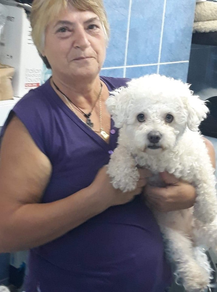 68788782 2866216280073051 1538996531456114688 n