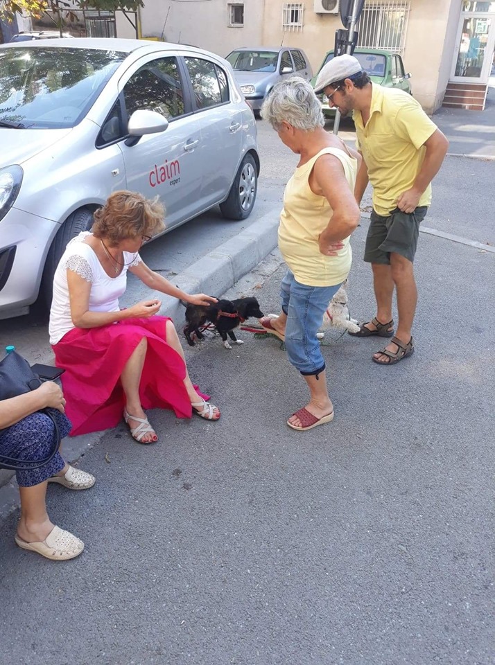 68788782 2866216280073051 1538996531456114688 n