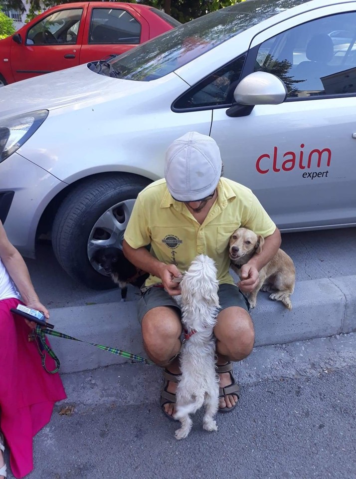 68788782 2866216280073051 1538996531456114688 n