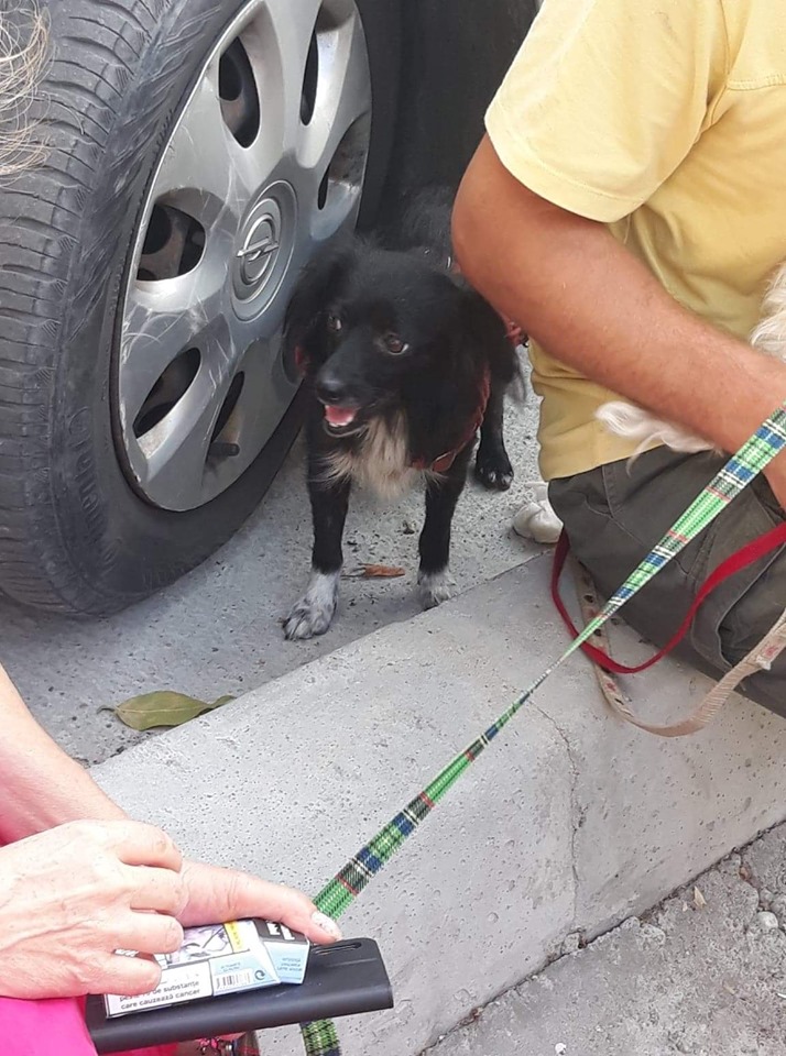 68788782 2866216280073051 1538996531456114688 n