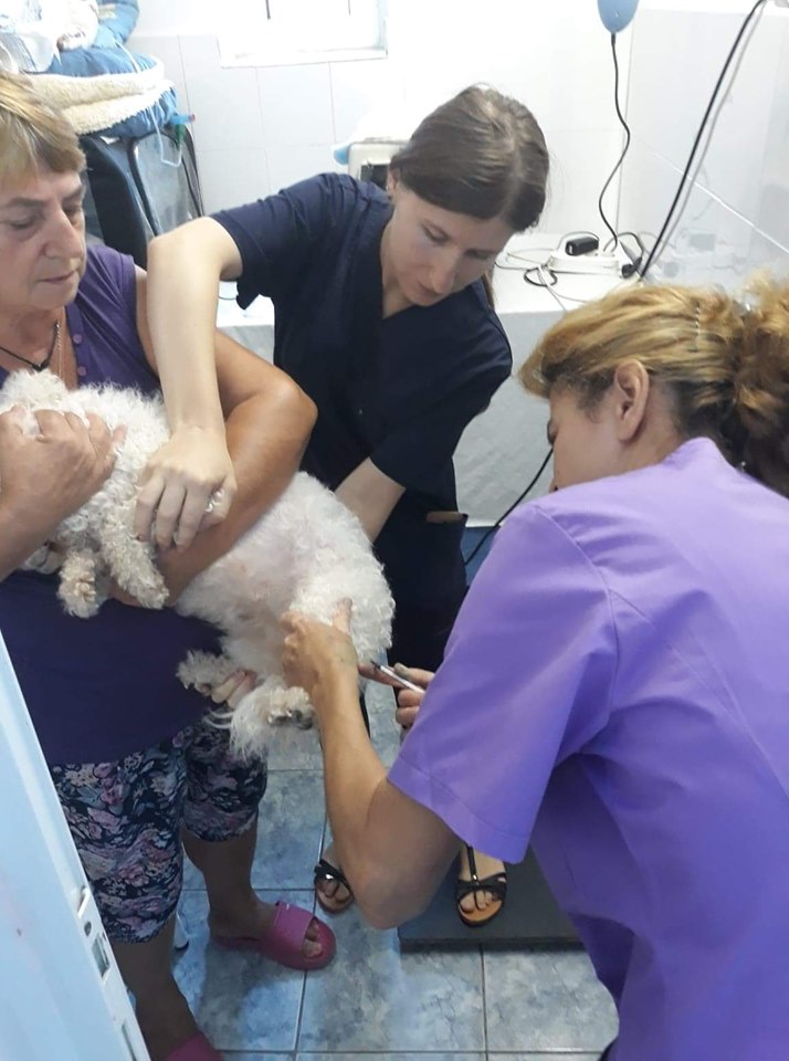 68788782 2866216280073051 1538996531456114688 n