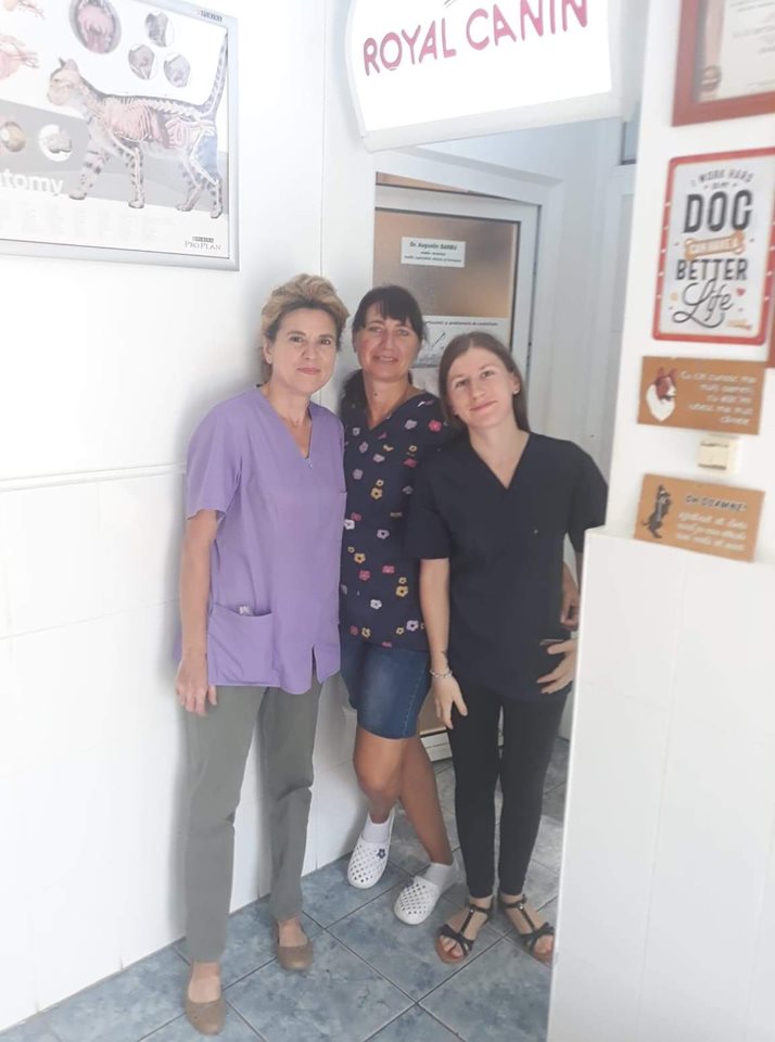 68788782 2866216280073051 1538996531456114688 n