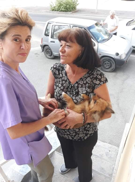 68788782 2866216280073051 1538996531456114688 n